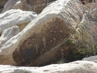 Petroglyphs at Puerco Ruin